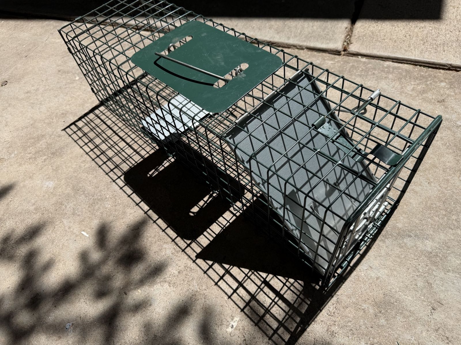 Live Animal Cage Trap - Humane Catch and Release Wire Mesh