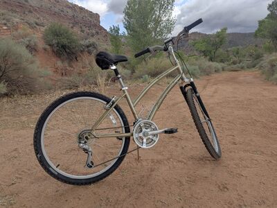 Diamondback Wildwood Deluxe