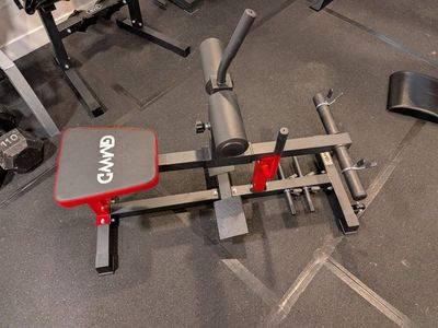 GMWD seated calf raise