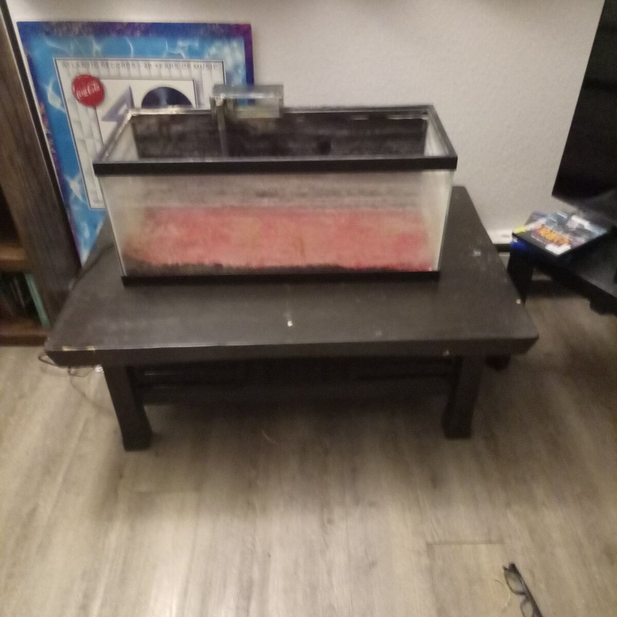 20 gal long aquarium