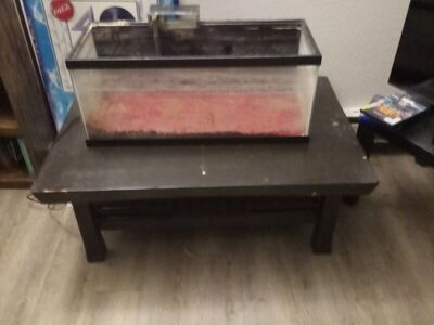 20 gal long aquarium
