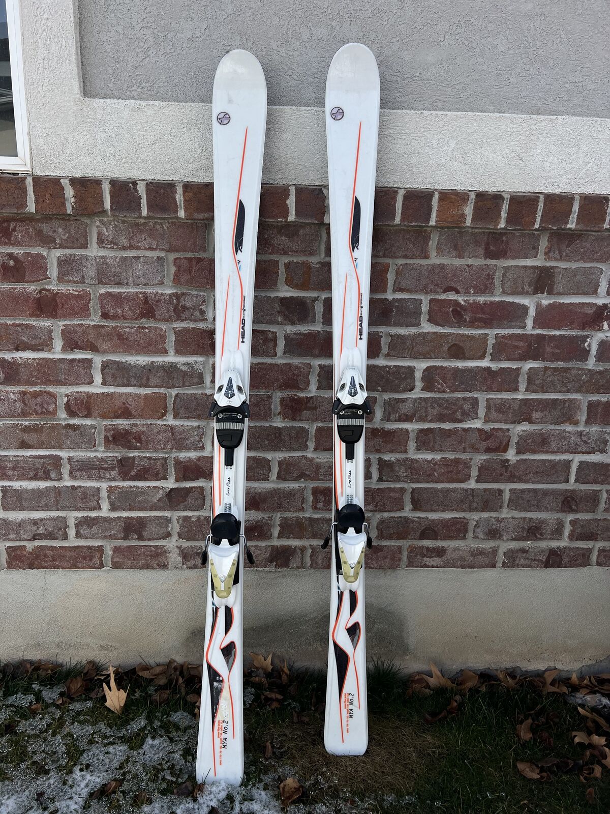 156 cm Skis!!!