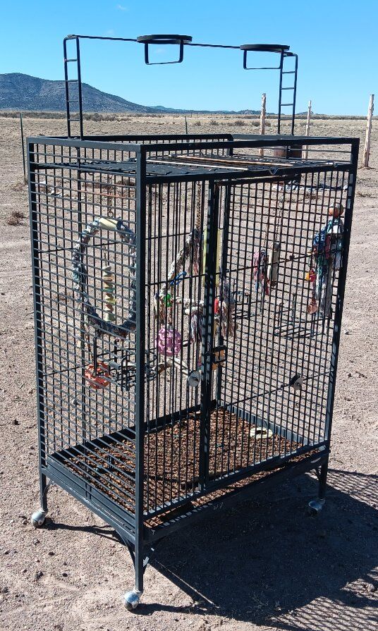 Parrot Cage