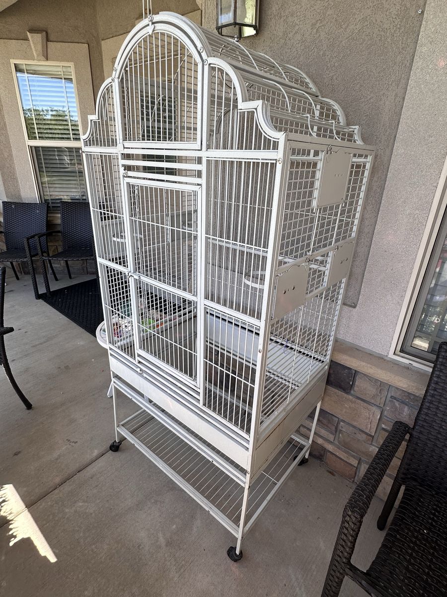 Parrot cage perch toys and more