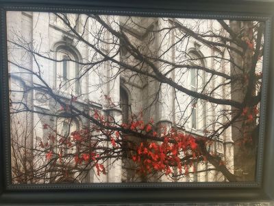 SLC Temple Amaranthine photo, signed and numbered