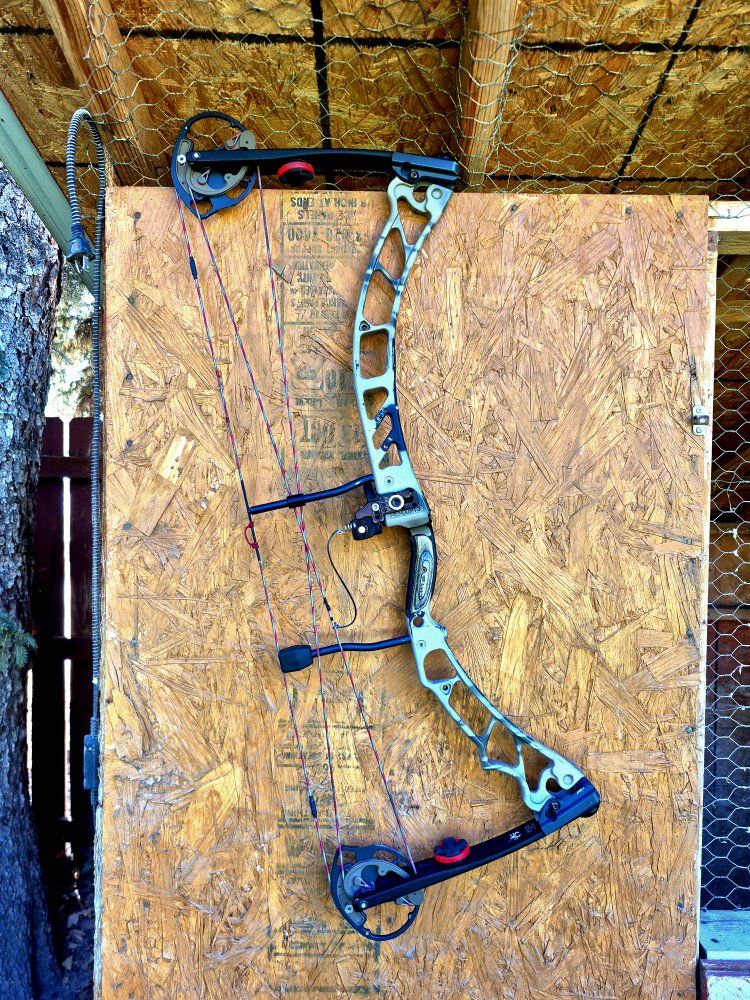 Elite Energy 35- 70 lbs with Hamskea Hybrid Hunter Pro Rest, R Handed