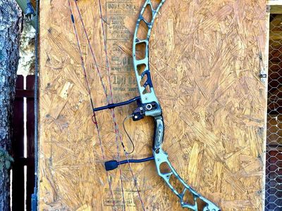 Elite Energy 35- 70 lbs with Hamskea Hybrid Hunter Pro Rest, R Handed
