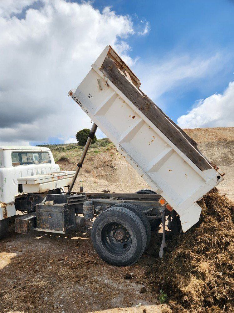 1985 ford come (diesel engine)