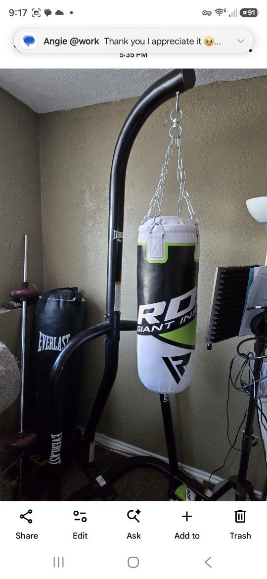 Everlast Heavy Bag Stand with Everlast and RDX Punching Bags, Boxing & MMA Training Set