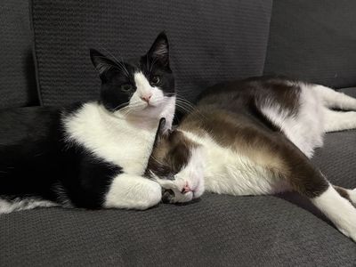 Must go together!