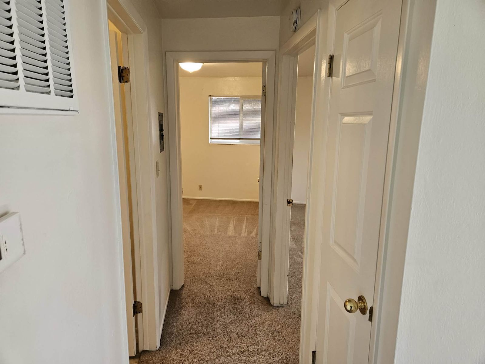 Main image 11