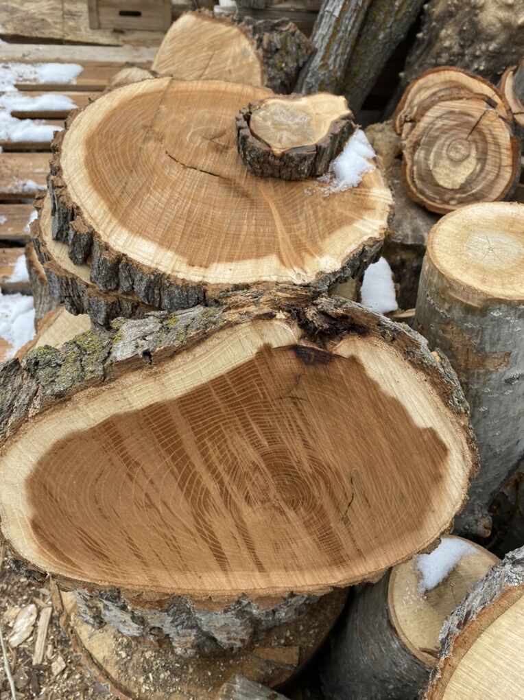 Woodcrafting Logs Cookies