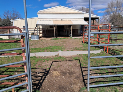 HORSE PASTURE FOR SUMMER RENT