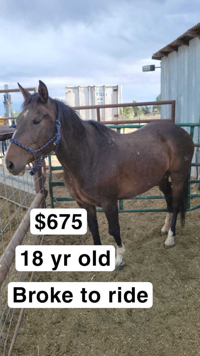 18 yr old