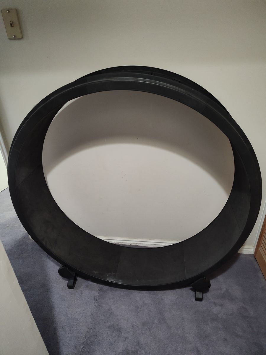 Cat Wheel - One Fast Cat