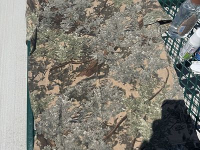 King's Camo Desert Camouflage T-Shirt Medium Pocket Tee