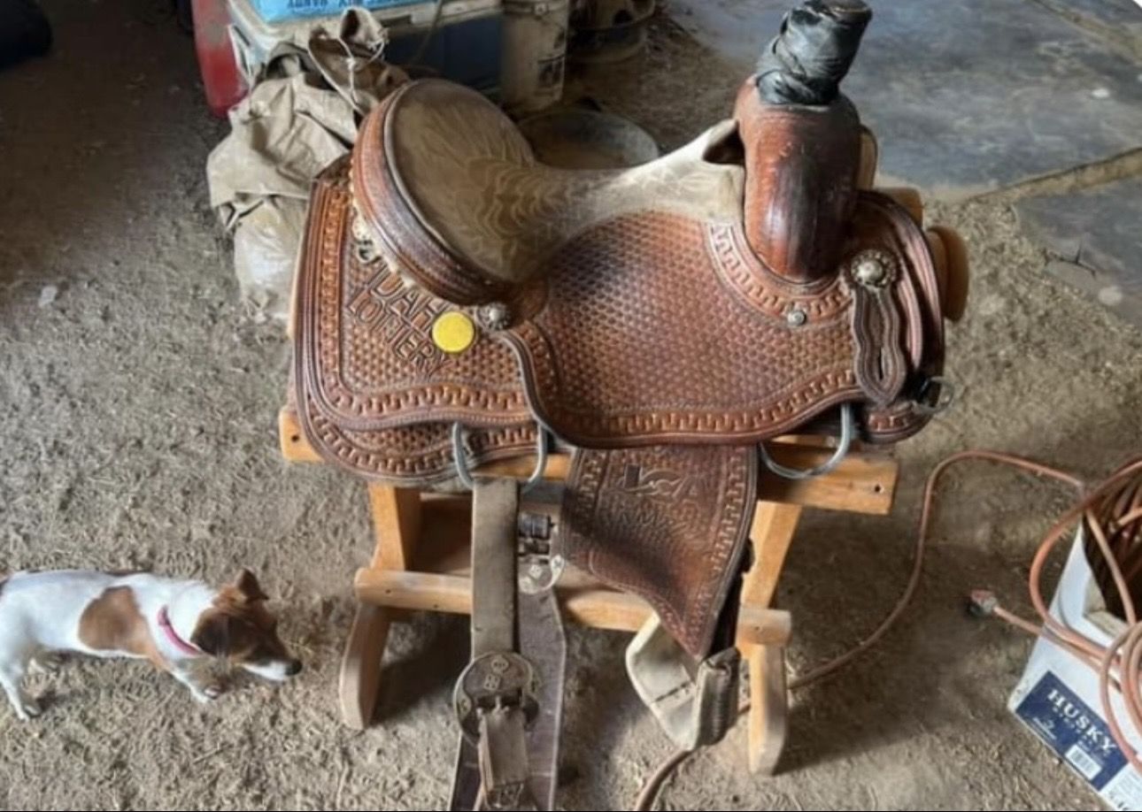 Todd Slone Rope Saddle