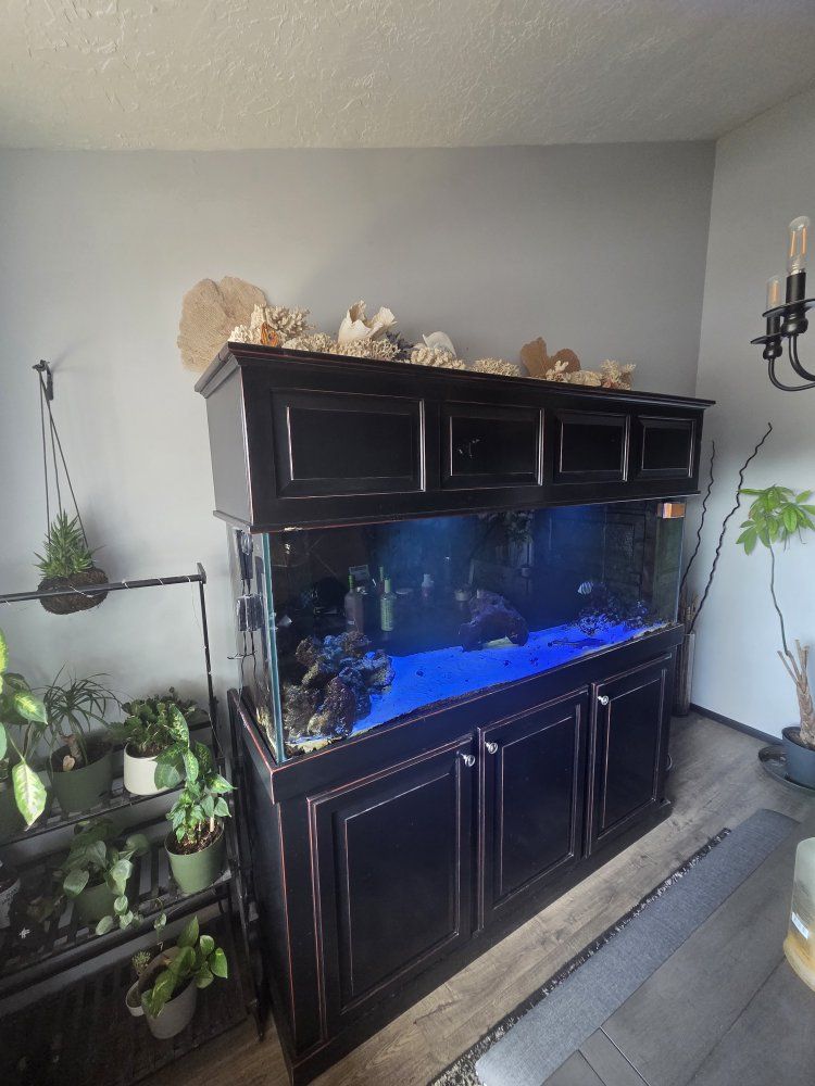 Complete Saltwater Aquarium Setup with Kessil Lighting & Sump System 170 gallon saltwater tank with fish.