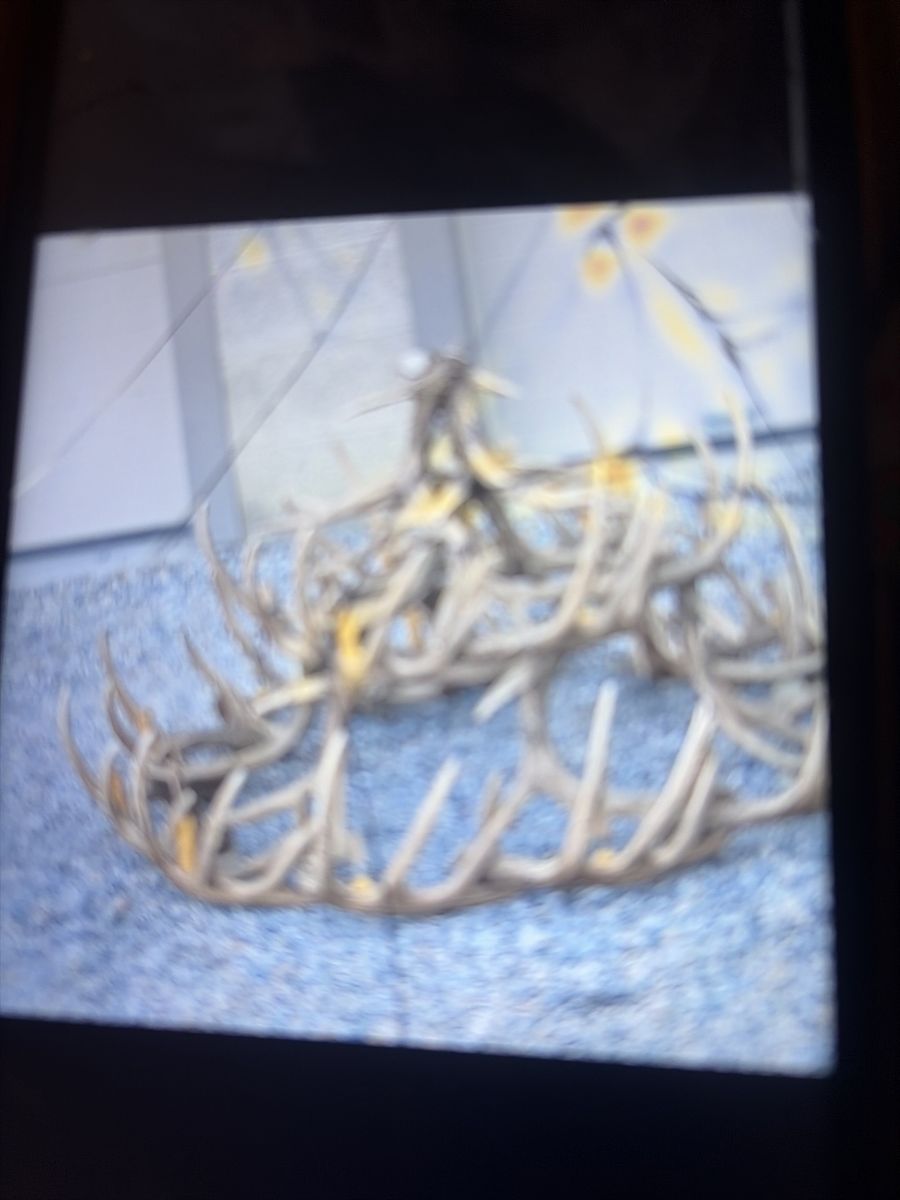 Antler table