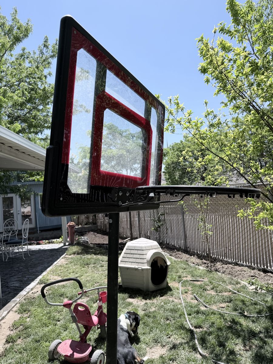 Basketball Hoop
