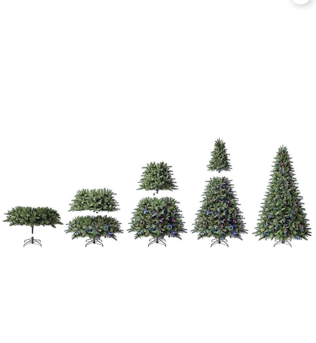 Main image 5