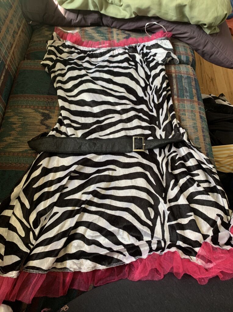 Princess zebra Halloween costume, size Teen Large