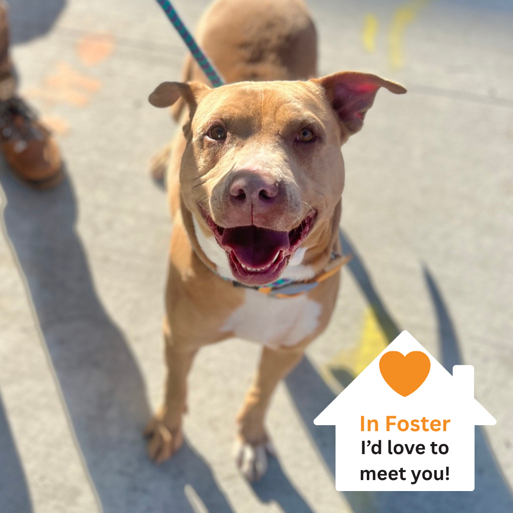 Hello my name is Macy