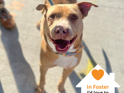 Hello my name is Macy