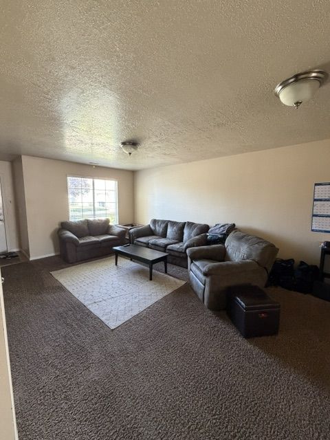 Main image 12