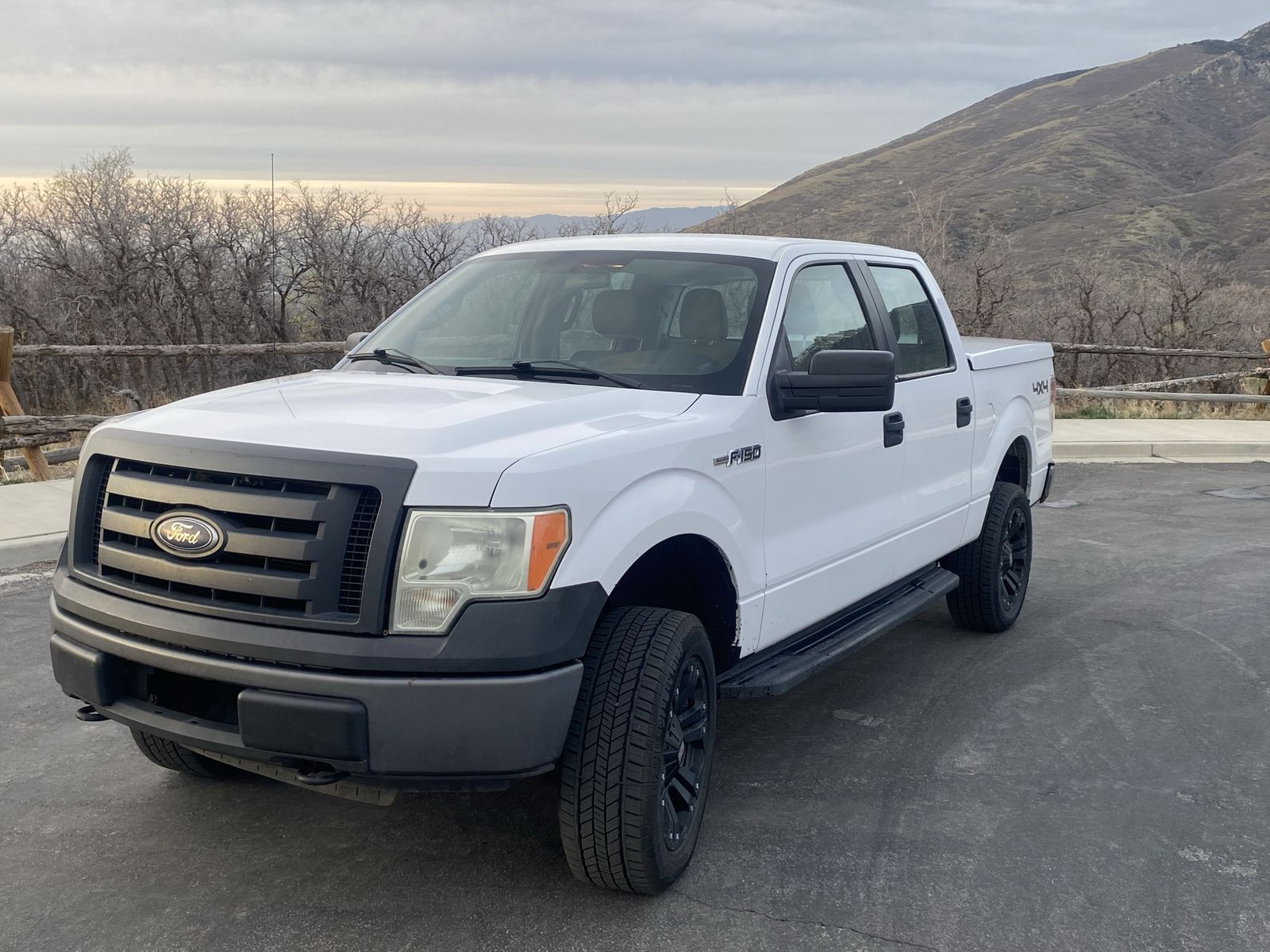 2010 Ford F-150 XL