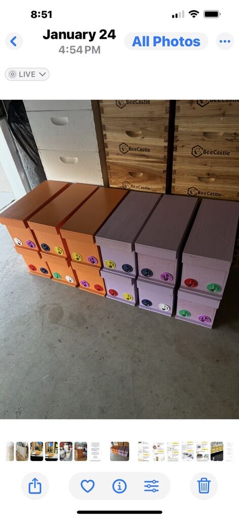 Brand New Five Frame Wood Nuc Box