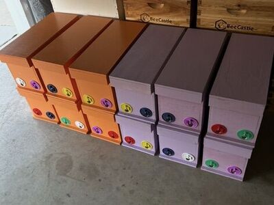 Brand New Five Frame Wood Nuc Box