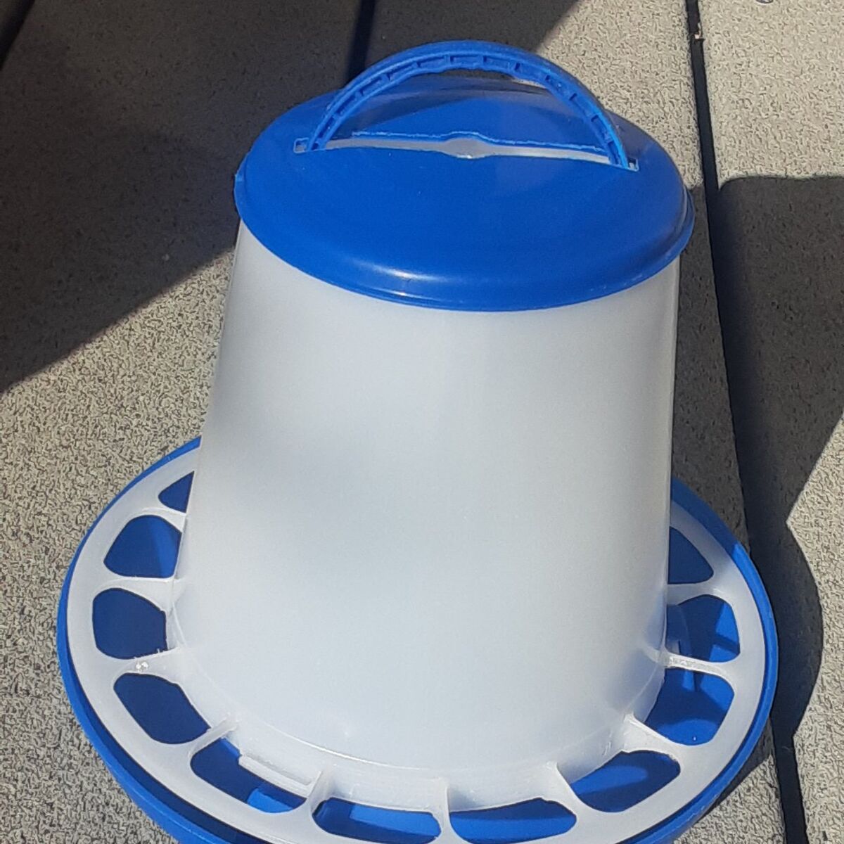 chick feeder and homemade brooder