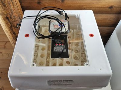 Farm INNOVATORS incubator