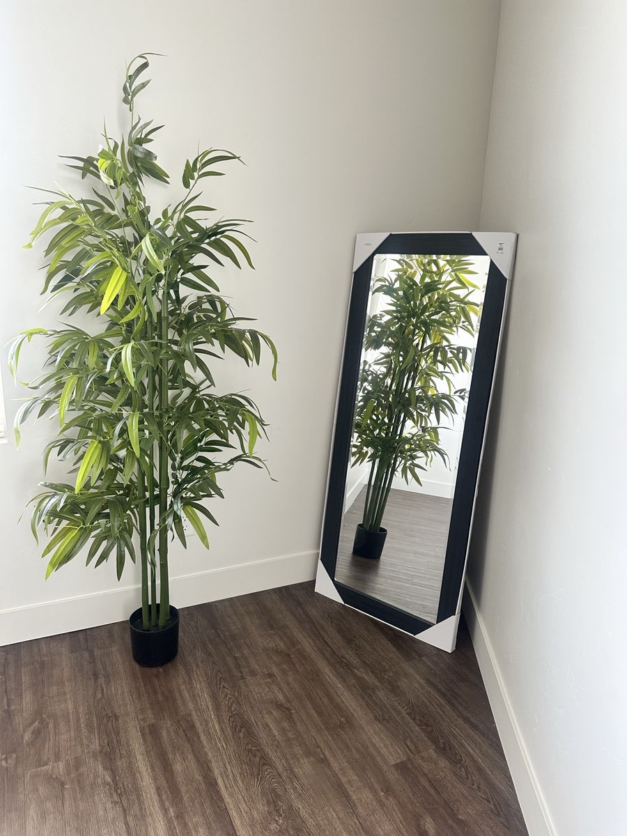 Full Length Floor Mirror + Floor Tree Combo