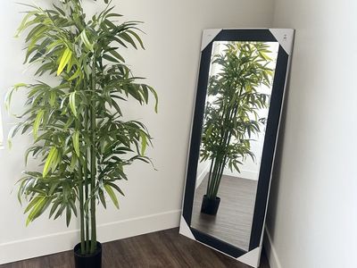 Full Length Floor Mirror + Floor Tree Combo