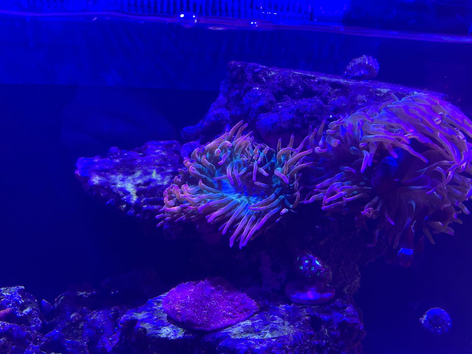 Main image 2