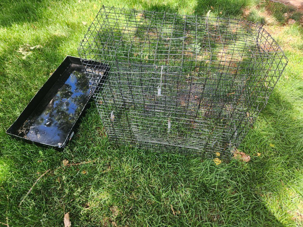 Small animal cage