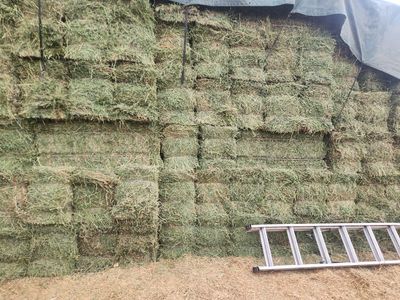 Stacked Square Hay Bales - Clean Farm Feed