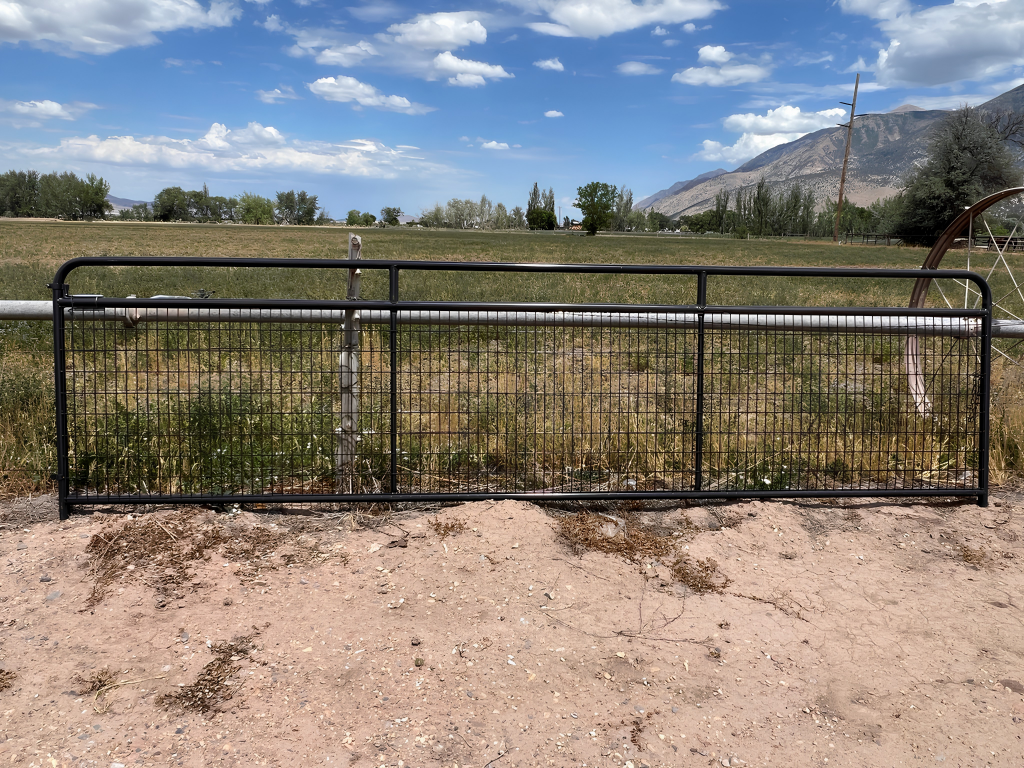 *CLEARANCE* HW Wire Filled Gates