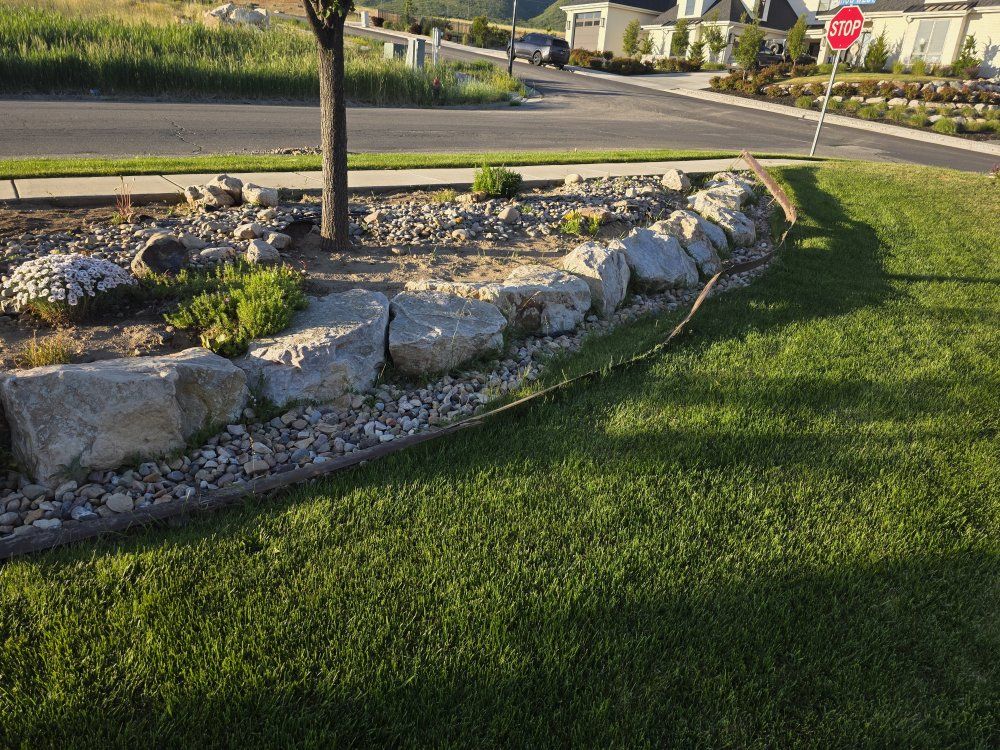 Main image 2