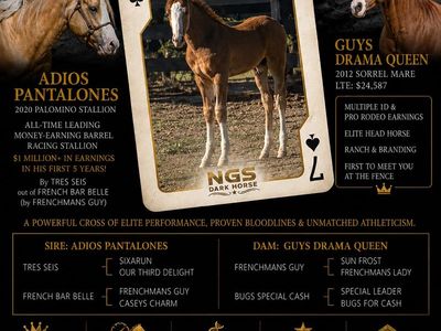 Adios Pantalones x Guys Drama Queen