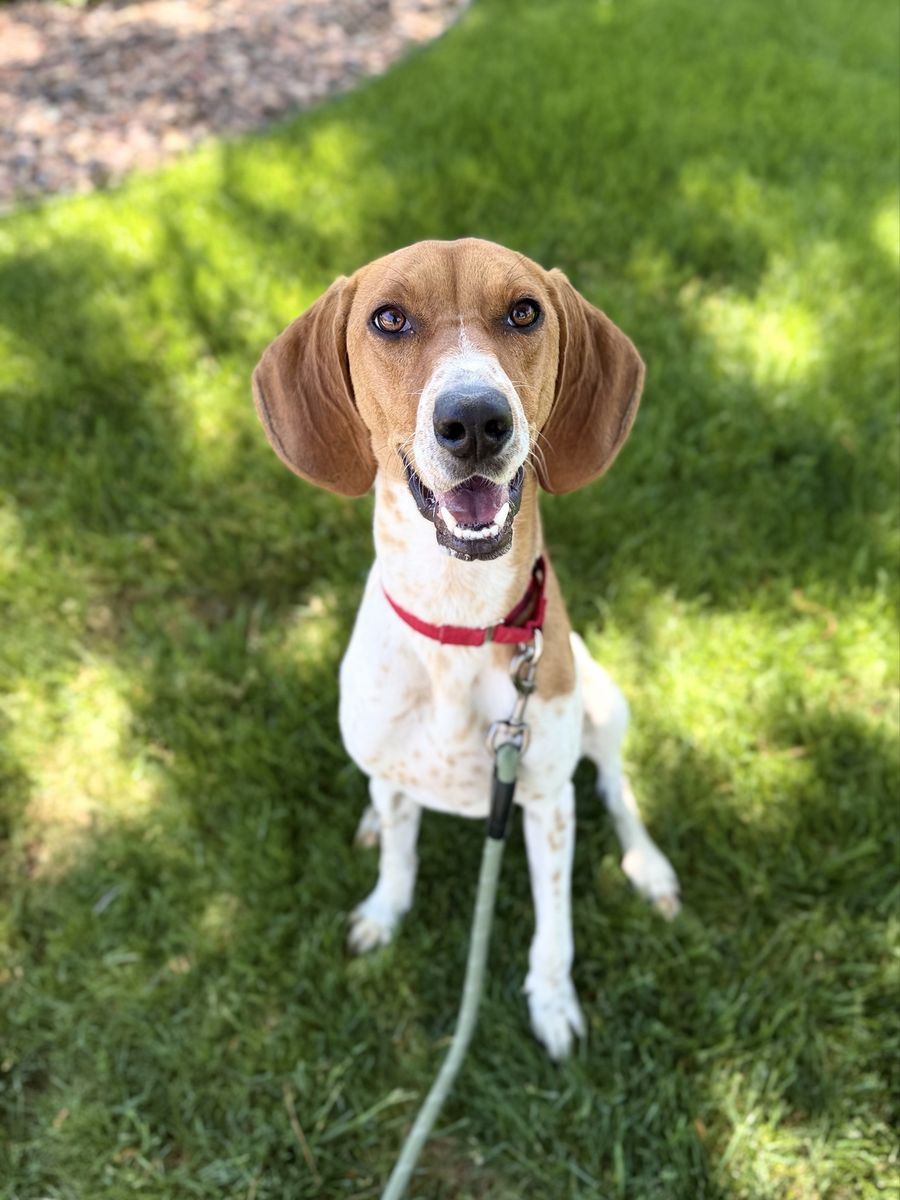 FEE WAIVED - Bonnie