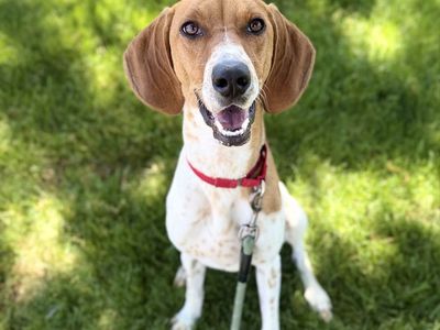 FEE WAIVED - Bonnie