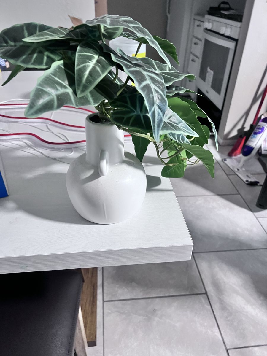 Another cute fake plant
