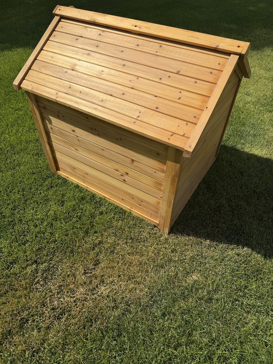 Main image 6