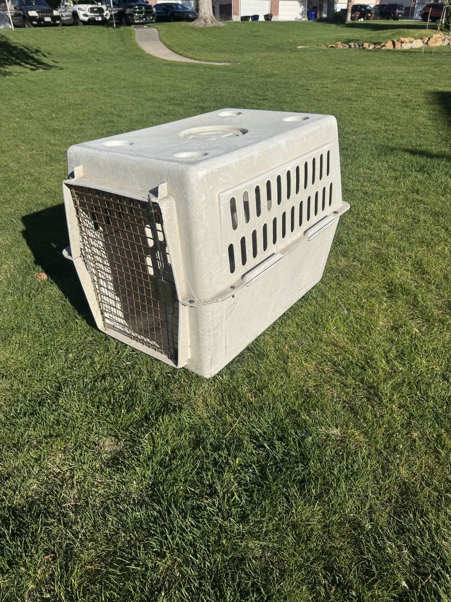 Dog Kennel Animal Crate 36” Beige Cream