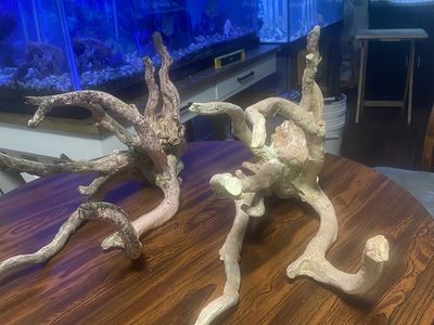 Aquarium Decorations