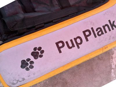 Puppy plank, Pet floatation stairs, Pet life vest rescue Float