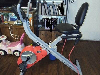 Pro-Form X-Bike Duo Folding Exercise Bike with Resistance Bands and Backrest - Used